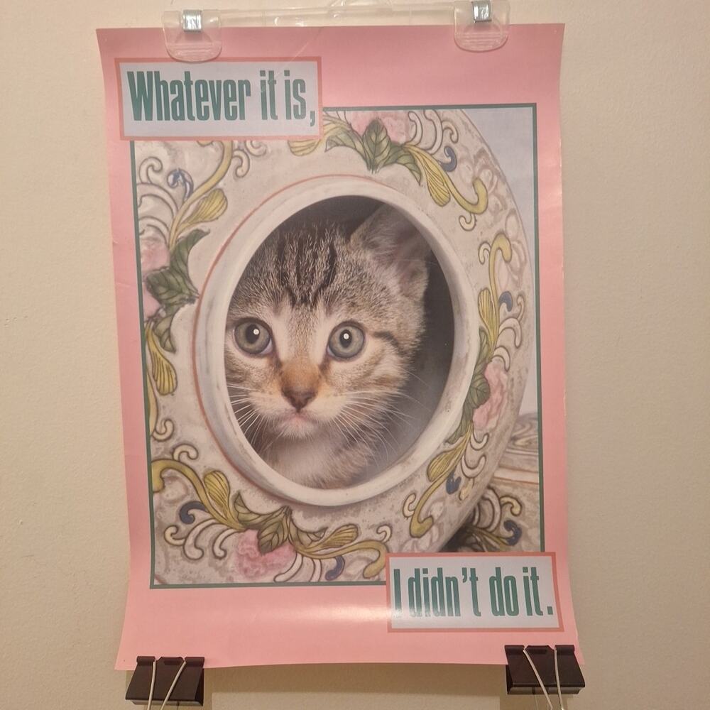 Vintage Argus Cute Kittens Poster - 19” X 13.5” -#61957